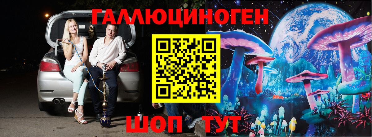 Галлюциногенные грибы Psilocybe Ржев