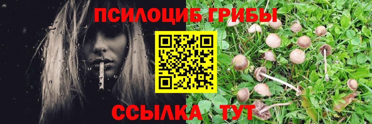 Галлюциногенные грибы Psilocybine cubensis  Псилоцибиновые грибы Magic Shrooms  Ржев  Вход с VPN 